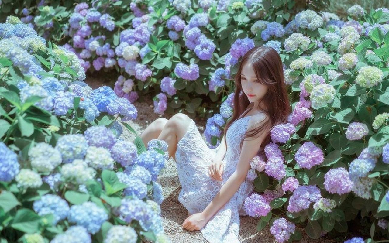 李强主持召开国务院常务会议